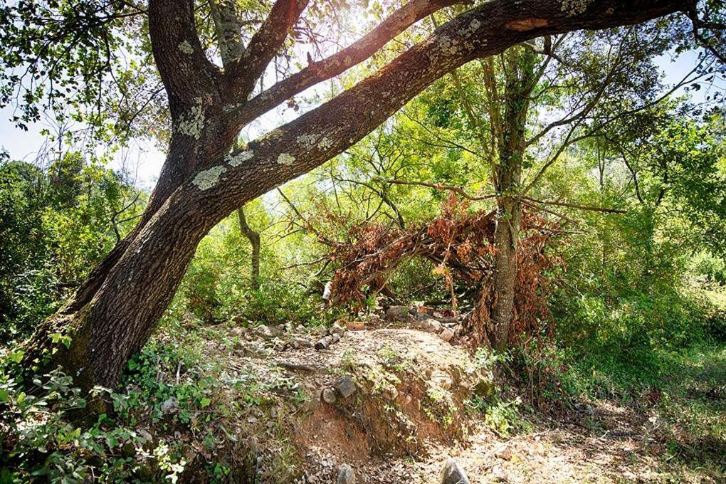 Can Cruanyes Sales de Llierca ภายนอก รูปภาพ